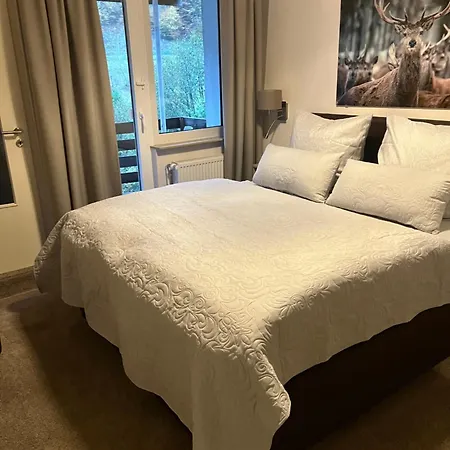 Hotel Zum Forsthaus 3*