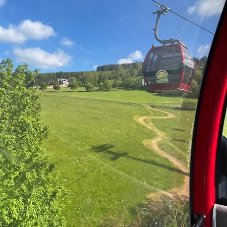 Hotel Zum Forsthaus Willingen (Upland)