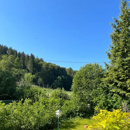 Zum Forsthaus Hotel 3*