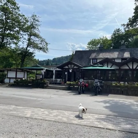 Hotel Zum Forsthaus Willingen (Upland)