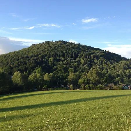 Zum Forsthaus Hotel Willingen (Upland)