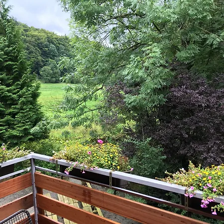 Hotel Zum Forsthaus Willingen (Upland)