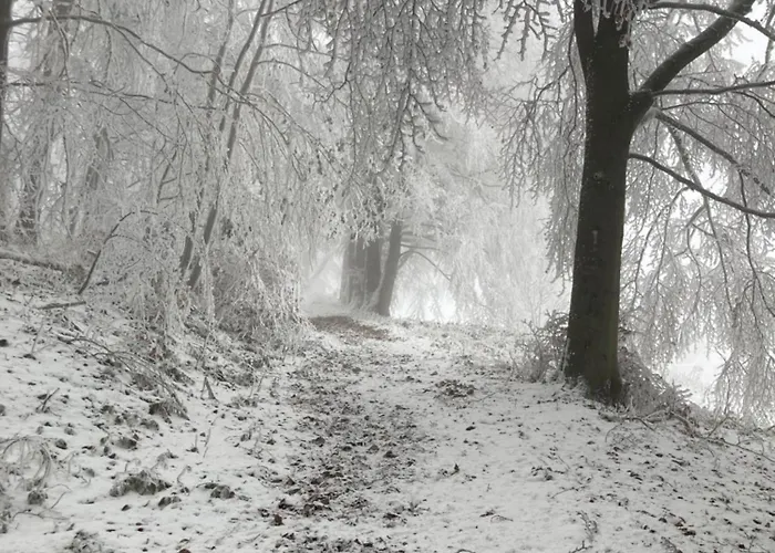 Zum Forsthaus 호텔