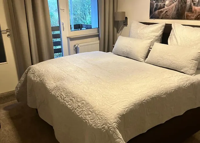 호텔 Zum Forsthaus 3*