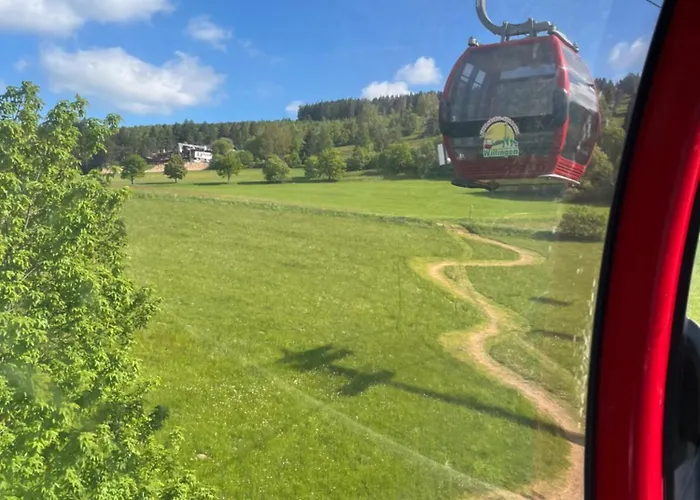 호텔 Zum Forsthaus 빌링겐