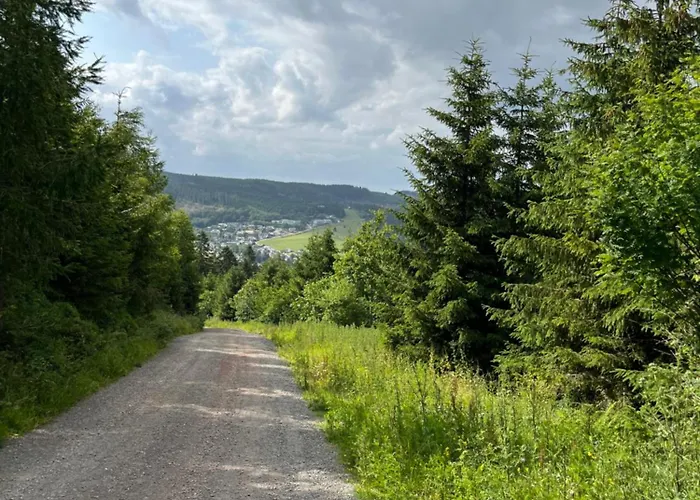 Zum Forsthaus 3* Willingen (Upland)