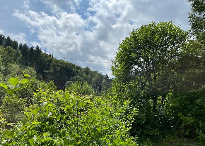 Hotel Zum Forsthaus Willingen (Upland)