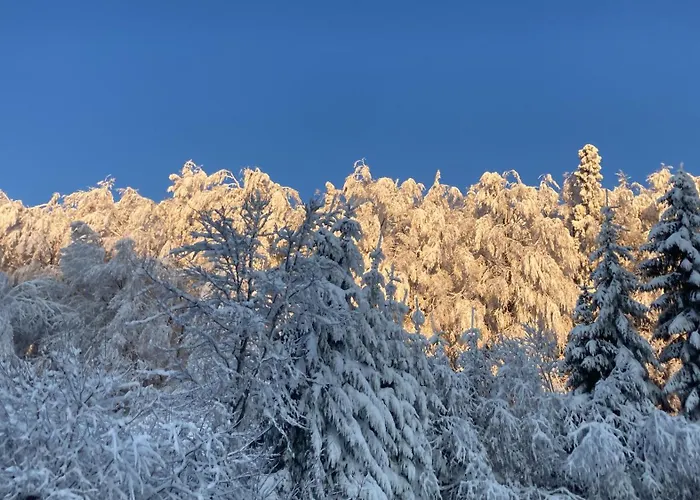 Zum Forsthaus Hotel Willingen (Upland)