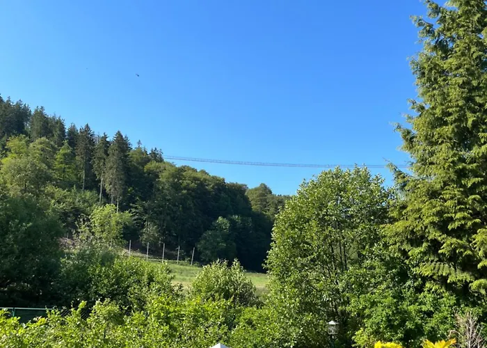 Zum Forsthaus Hotel 3*