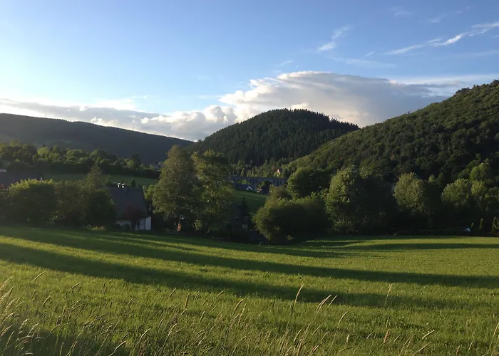 Zum Forsthaus 3* 빌링겐