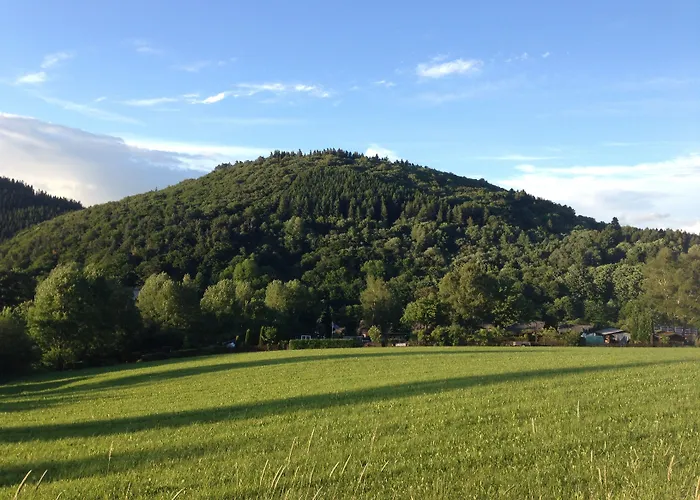 Zum Forsthaus Hotel Willingen (Upland)