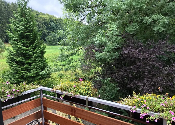 Hotel Zum Forsthaus Willingen (Upland)